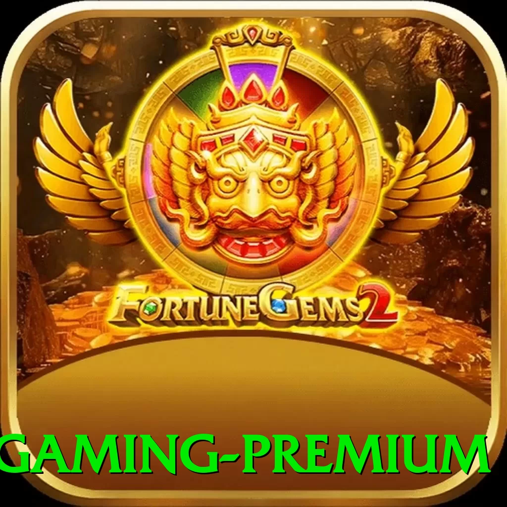 65a Gaming Premium - programa
