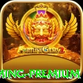 65a Gaming Premium
